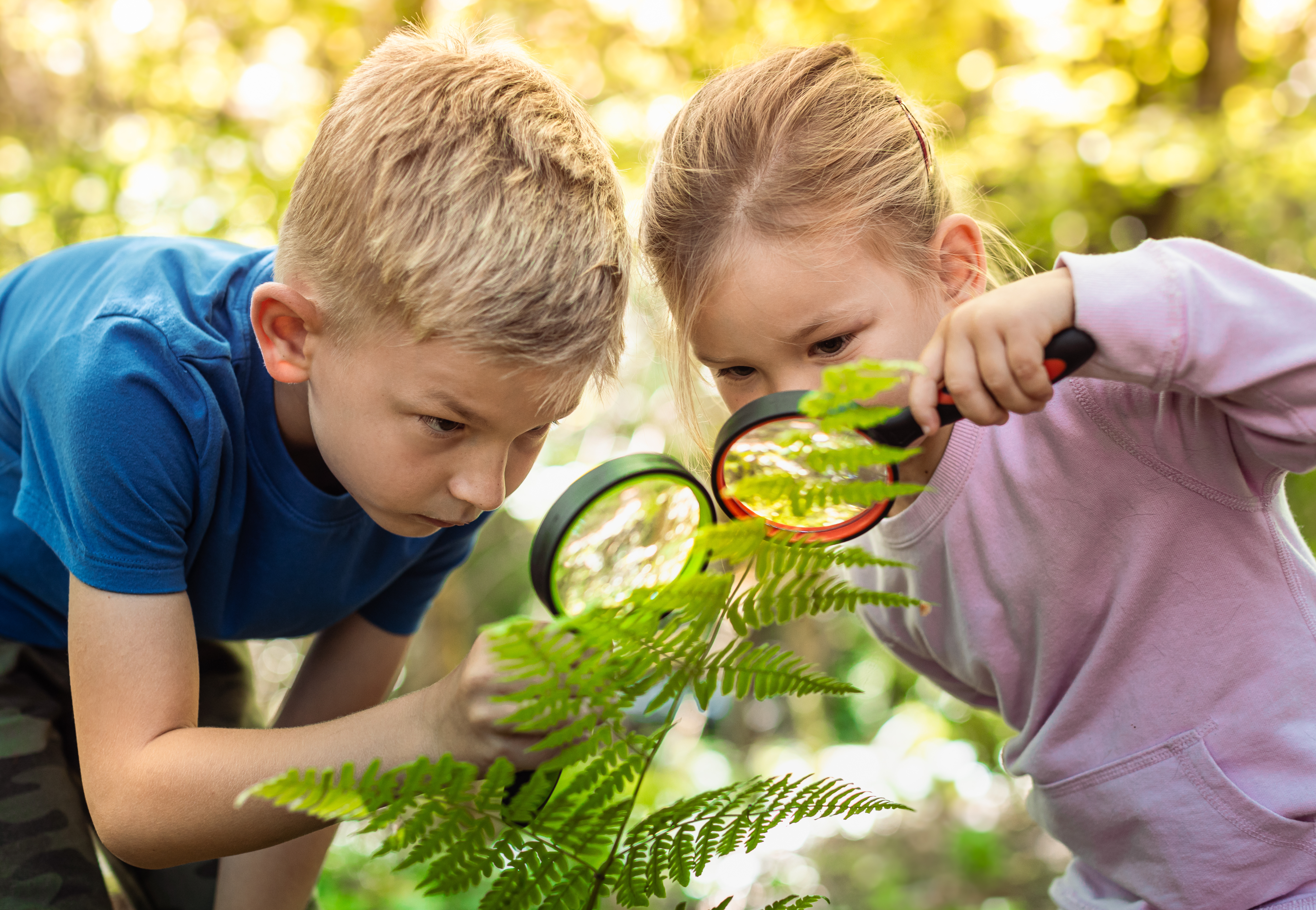 Prevádzka MŠ Botanická 12 bude prerušená počas dní 1.7.2026 - 3.7.2026. Prevádzka bude obnovená dňa 6.7.2026. - Obrázok 1